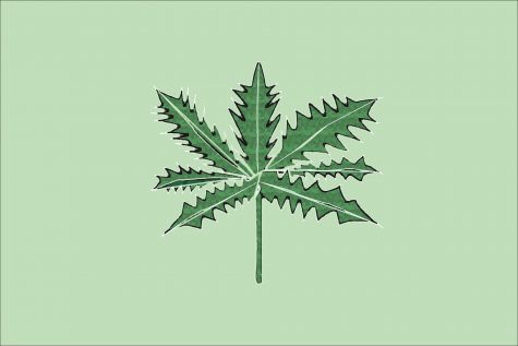 Main Graphic for Marijuana Article