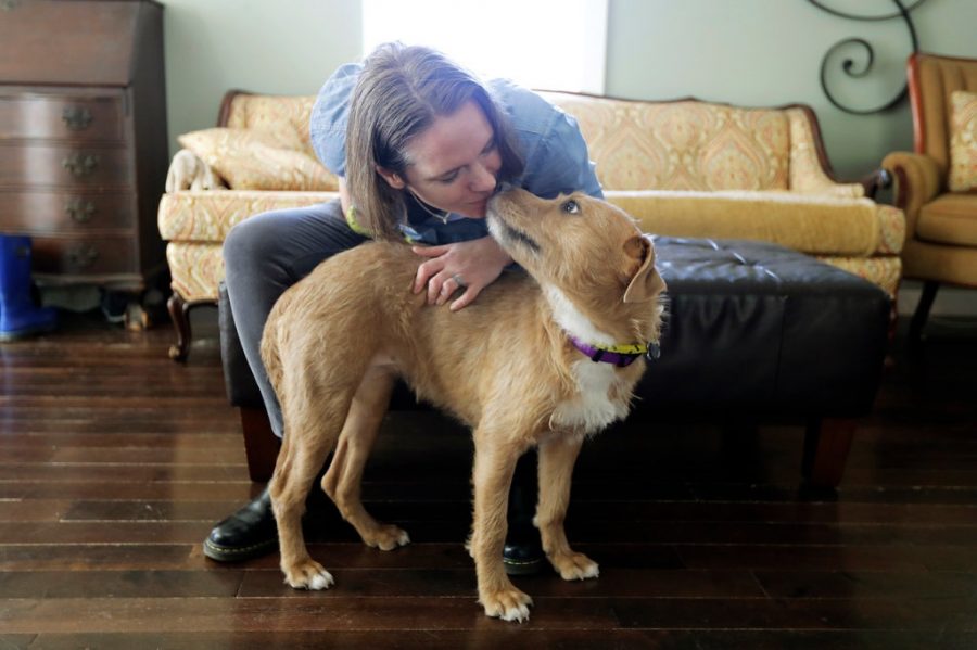A woman is playing with her newly adopted dog. She was recently given more time at home because of the stay-at-home set in place. Cited from New York Times