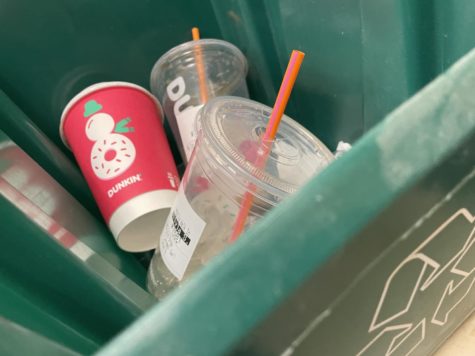 Photo: Empty Coffee Cups Discarded in the Bin