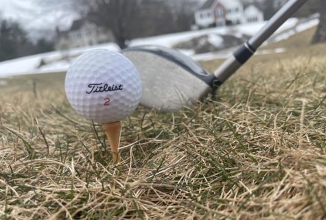 Photo: Golf Ball on a Tee