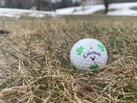 Photo: Shamrock Patterned Golf Ball in the Grass