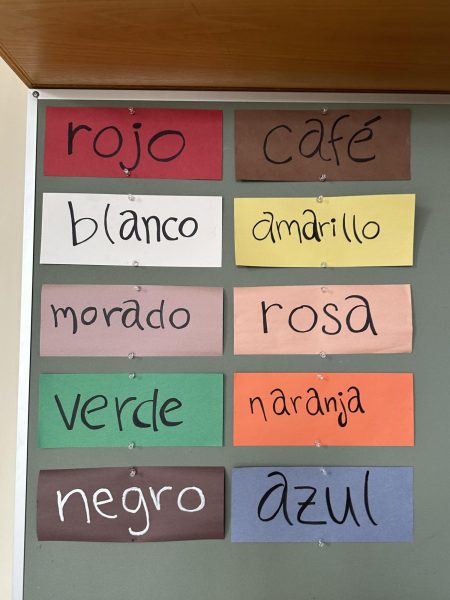 Photo of Spanish words