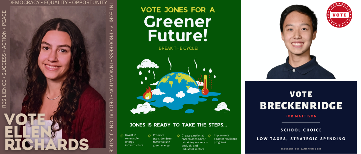 Student-made advertisements from the Franchonia simulation.